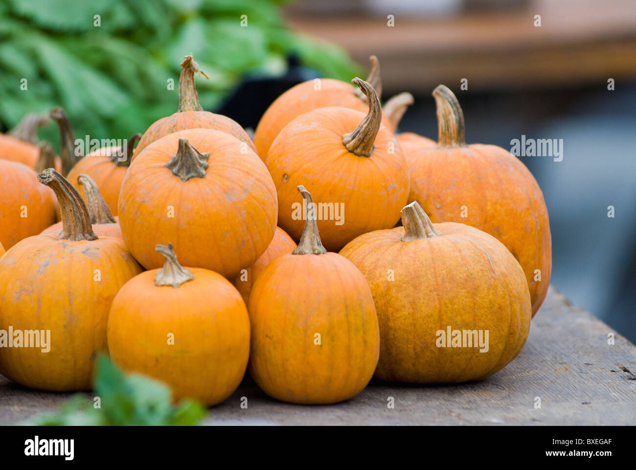 Pumpkins on display at farmer's market Stock Photo - Alamy