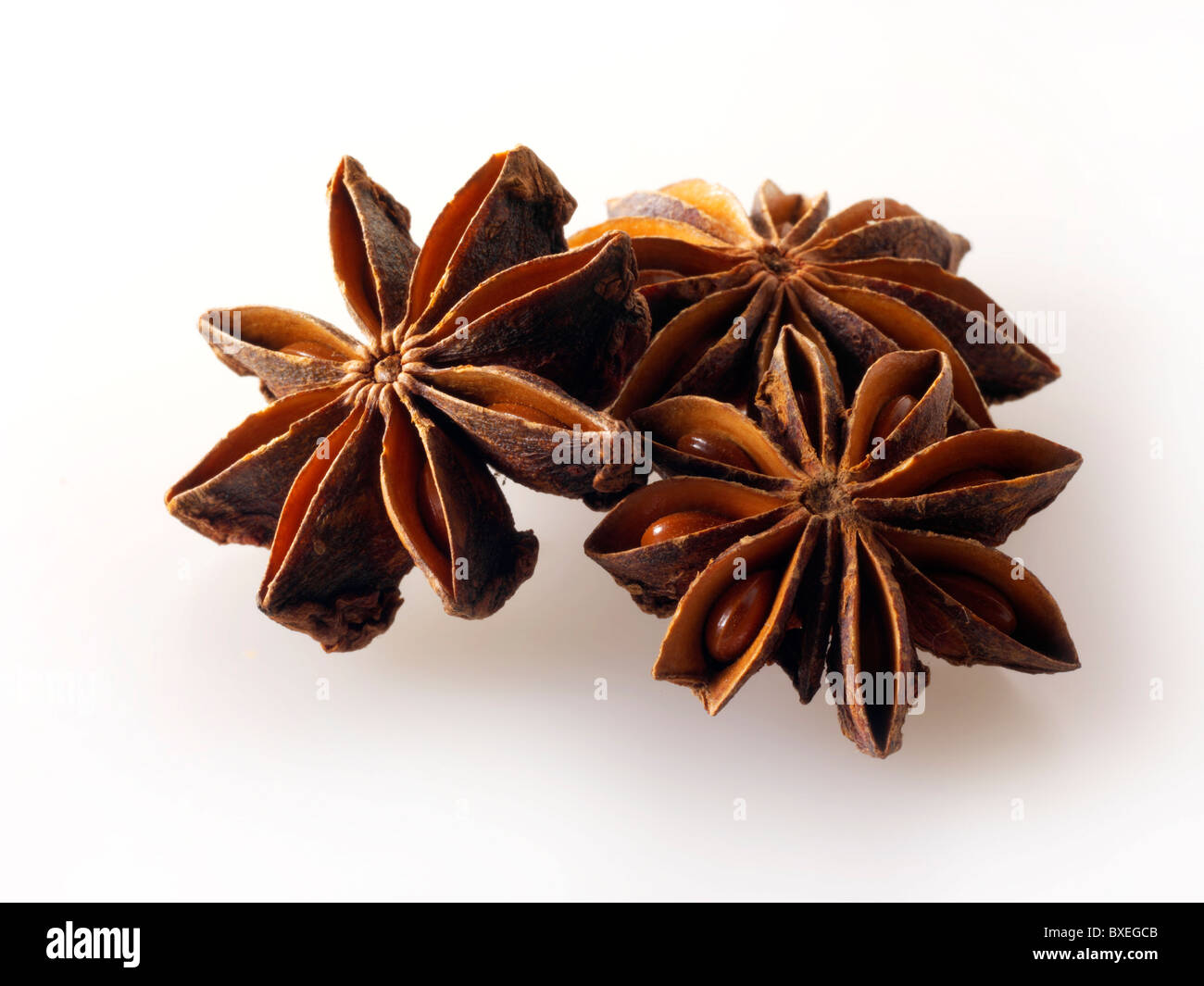 Whole Star Anise fruits Stock Photo