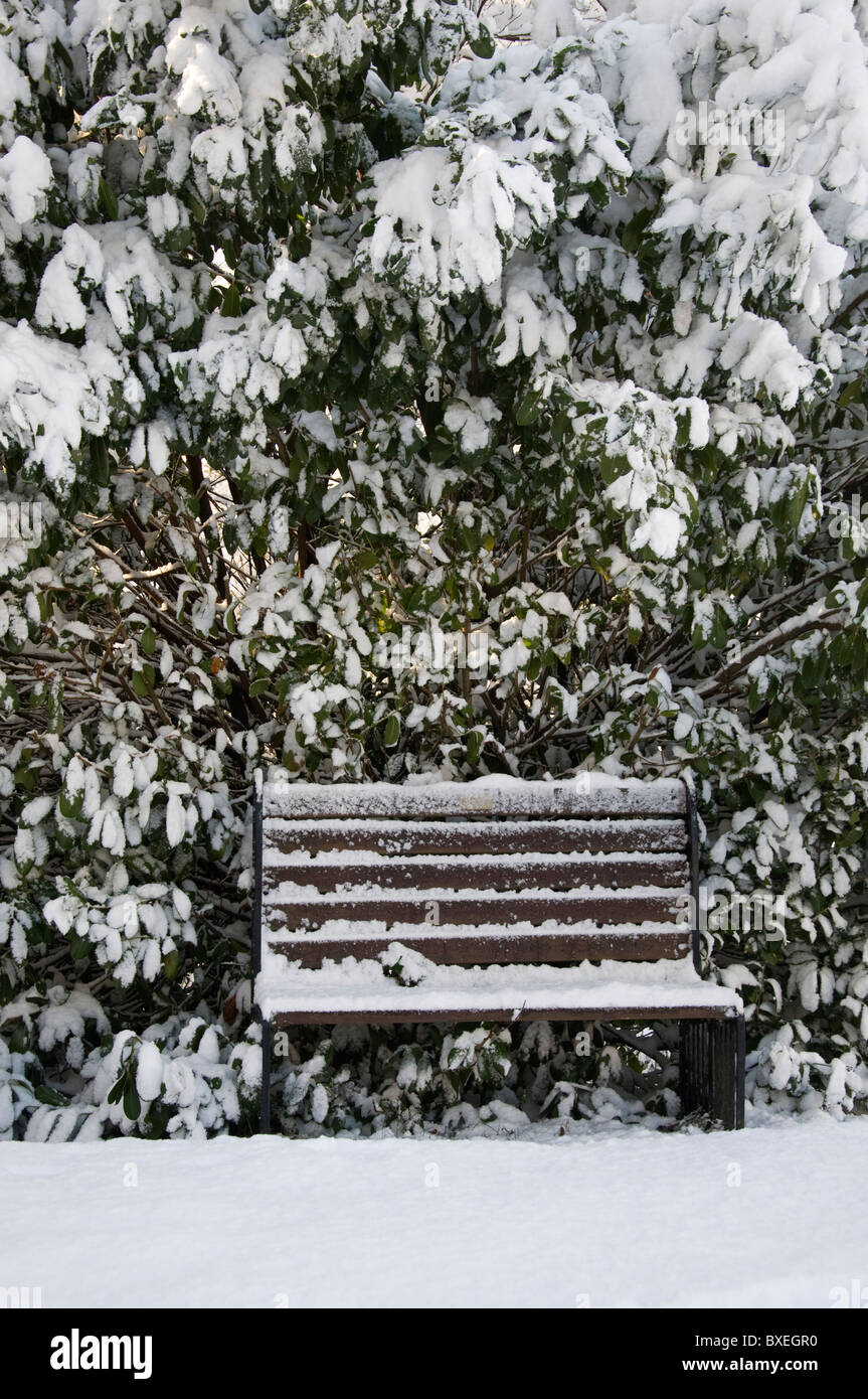 A frozen snow covered bench in a local park Stock Photo - Alamy