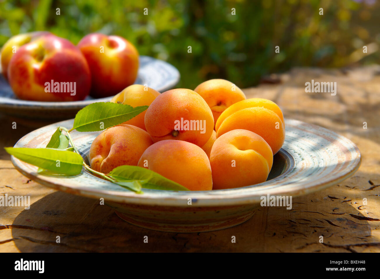 Soft apricots hires stock photography and images Alamy