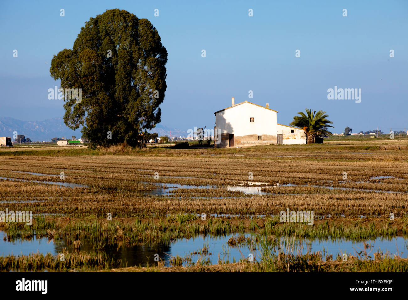Ebro river delta Catalonia Spain Birdwatching Stock Photo Alamy