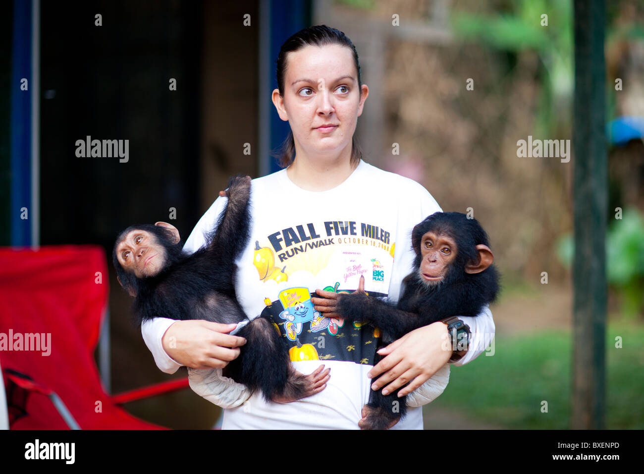 The Virus Hunters of Yaounde Cameroon Stock Photo