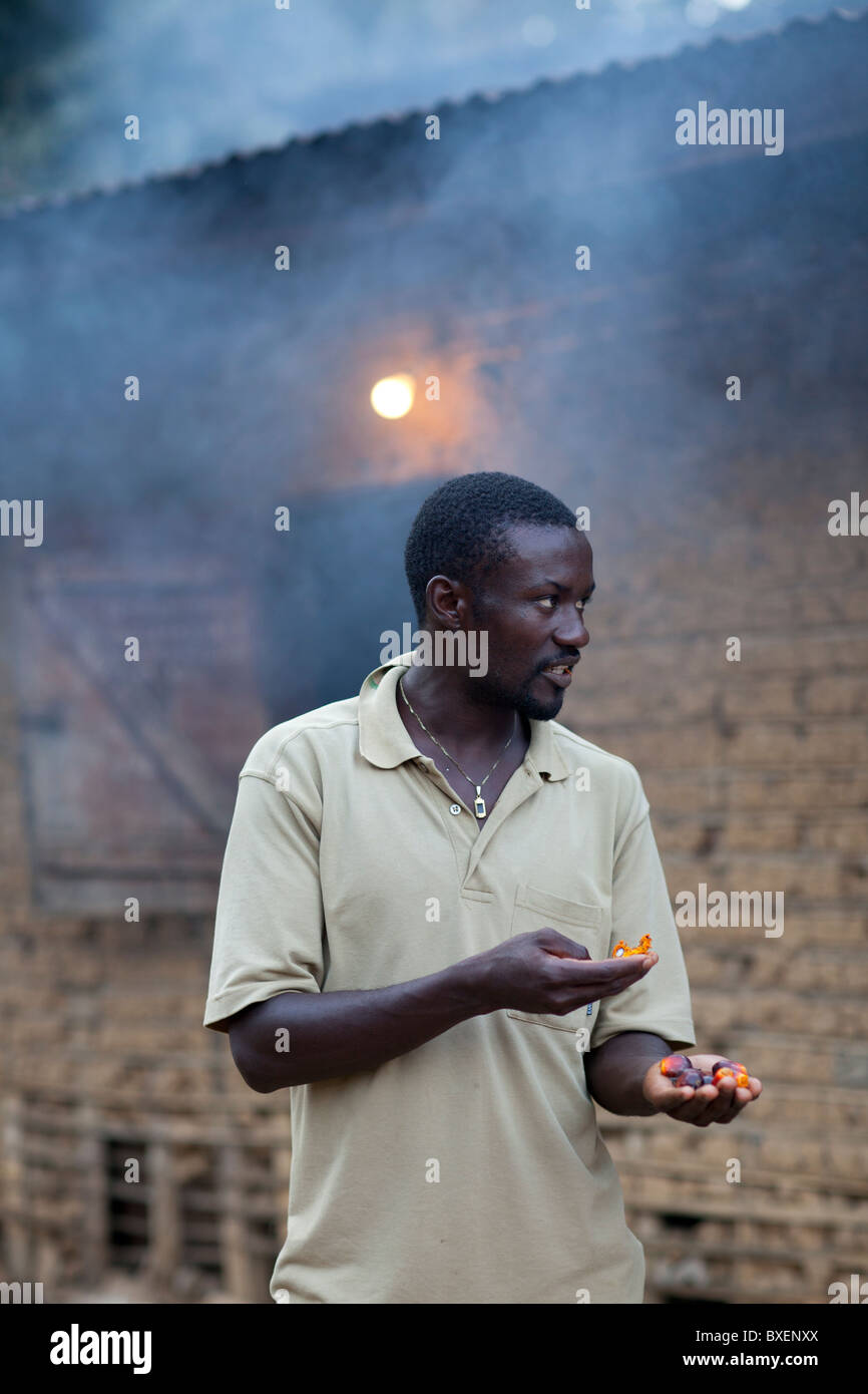 Coffee Growing Mefou Yaounde Cameroon Stock Photo - Alamy