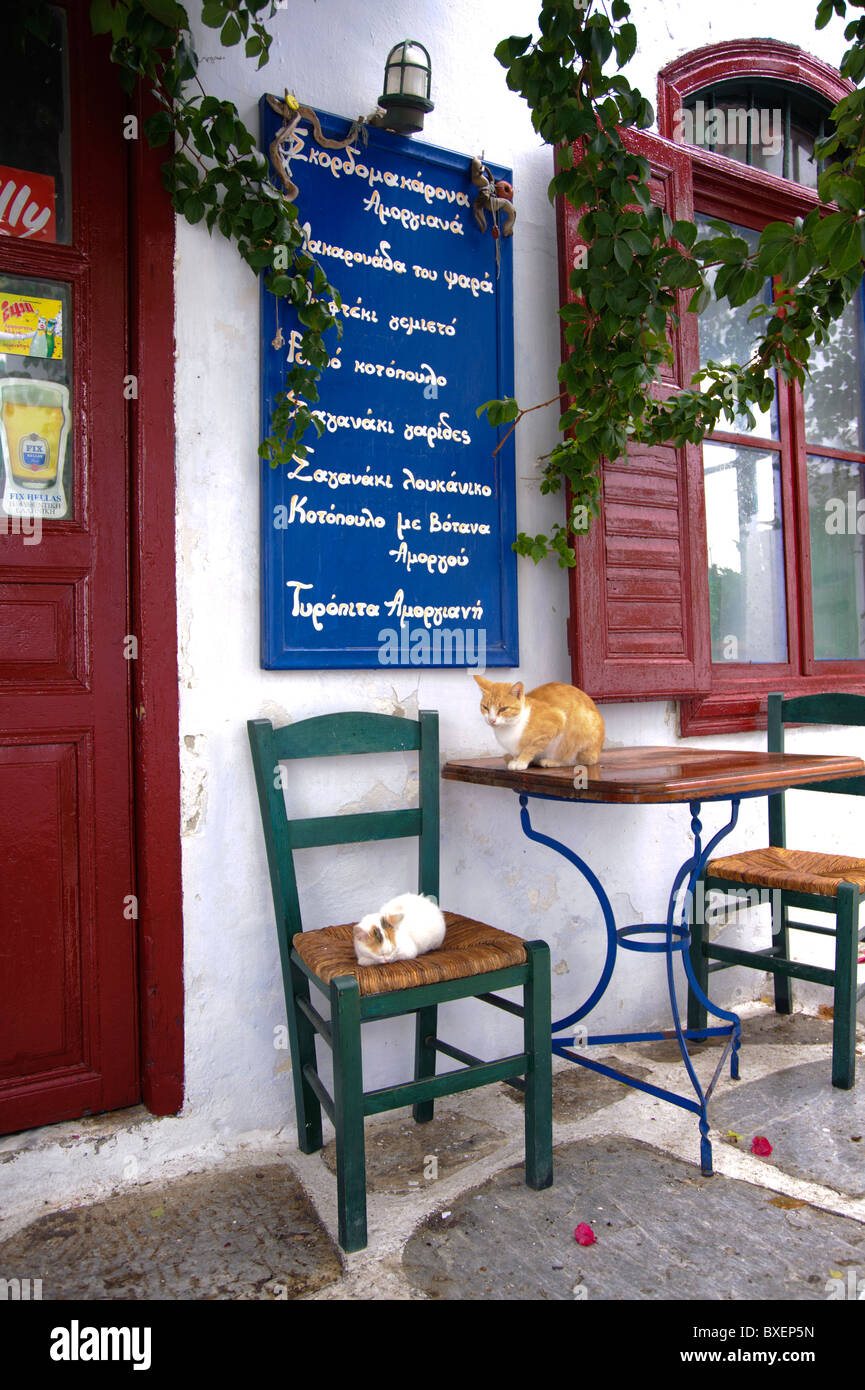Mother cat and kitten resting on the furniture of a small taverna's terrace in the village of Chora, on the island of Amorgos. Stock Photo