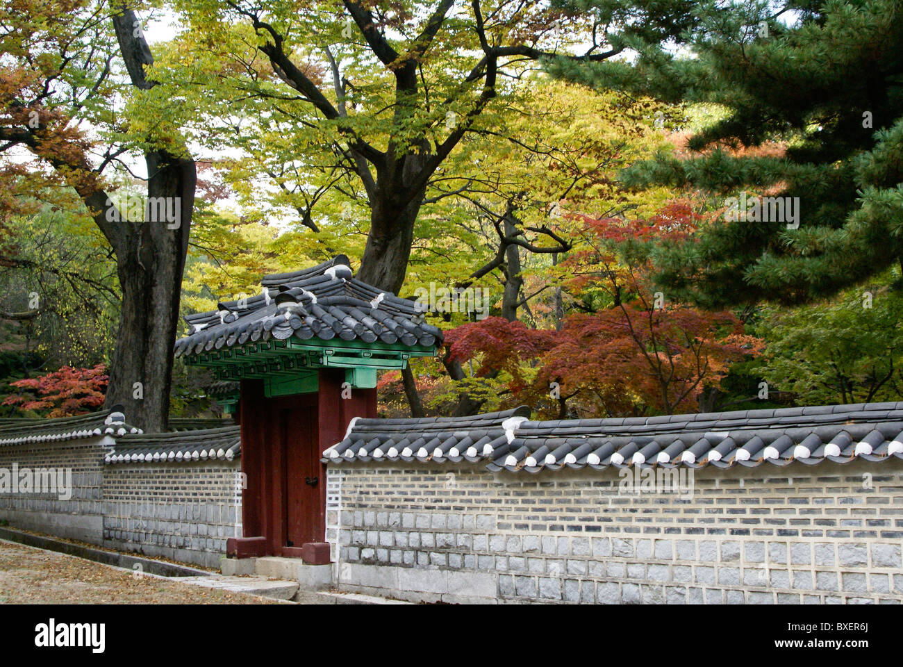 Secret Garden at Changdeokgung, Seoul, South Korea Stock Photo
