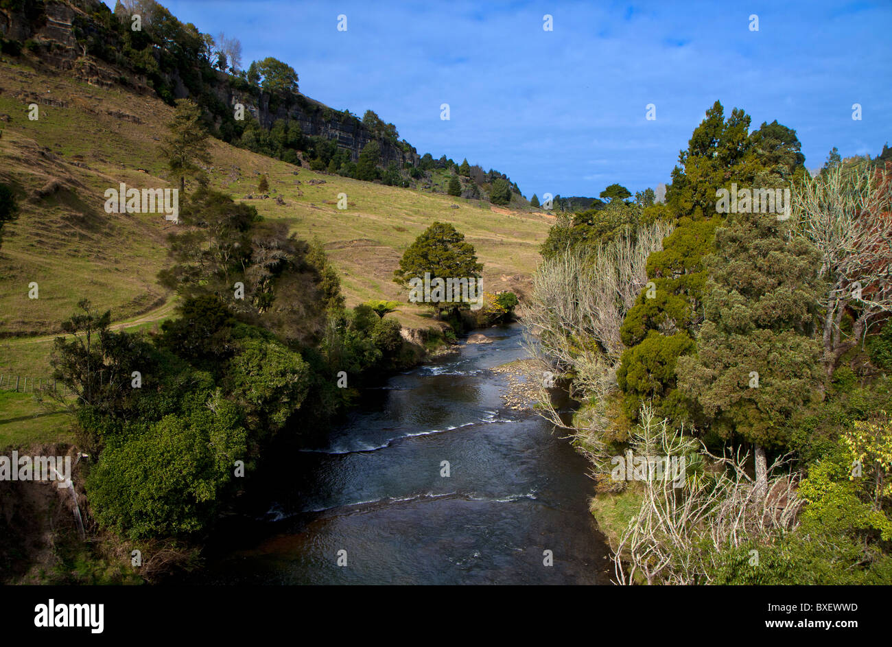 North Island Rivers Typical North Island scenery in New Zealand with the Mangotaki River ...