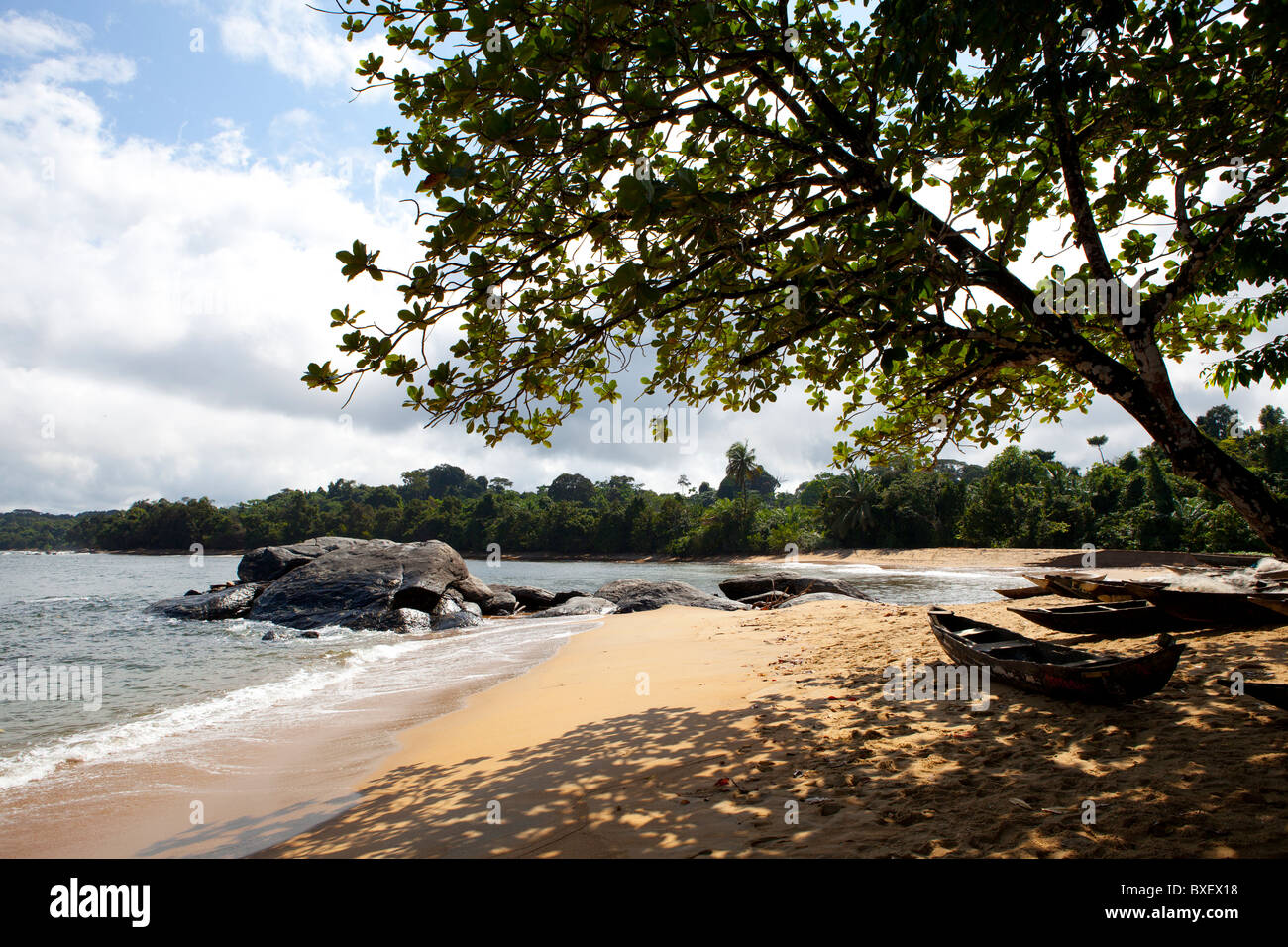 Campo reserve Cameroon Afria Stock Photo Alamy