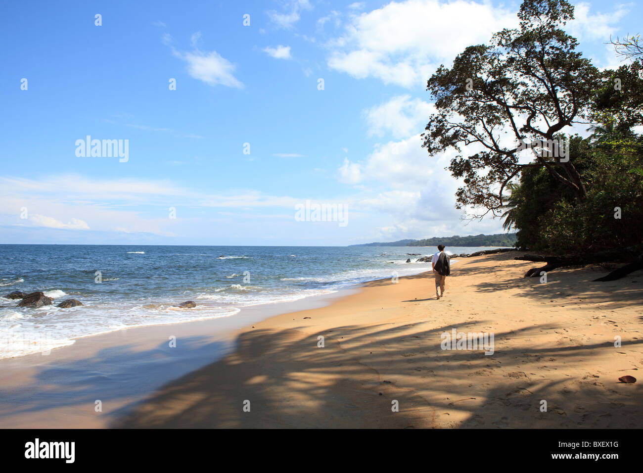 Campo reserve Cameroon Afria Stock Photo Alamy