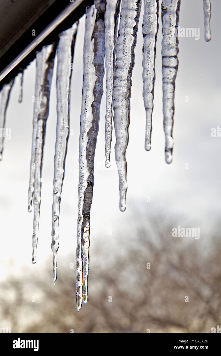 Icicles hanging from a window. Stock Photo