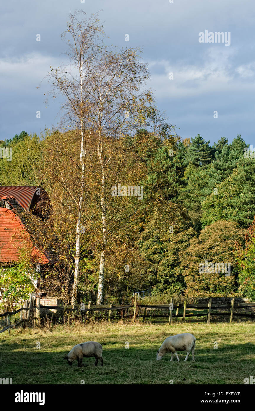 Lea derbyshire hires stock photography and images Alamy