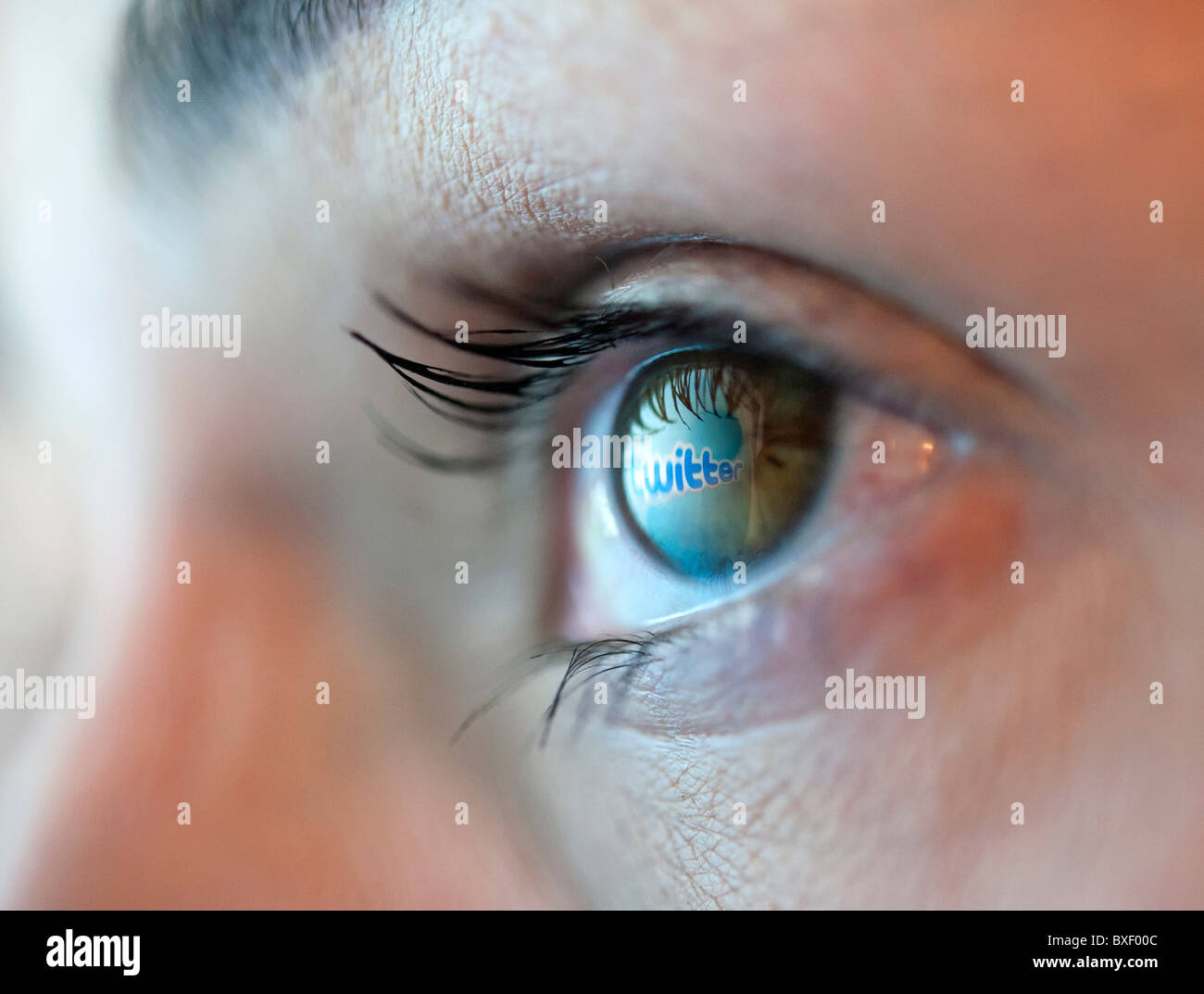 Reflection in an eye of logo from Twitter blogging website Stock Photo