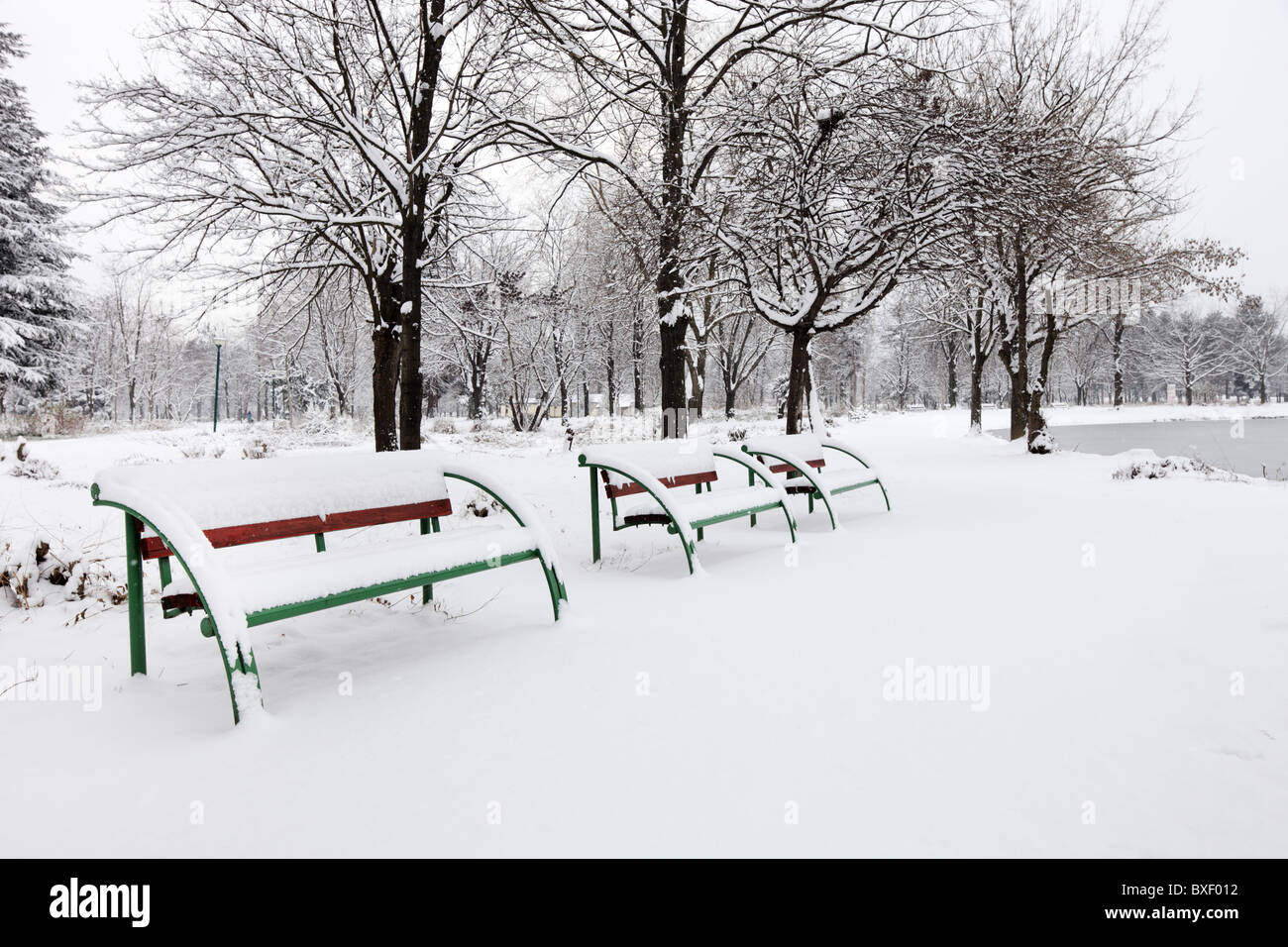 Benches in a city park covered with snow Stock Photo - Alamy