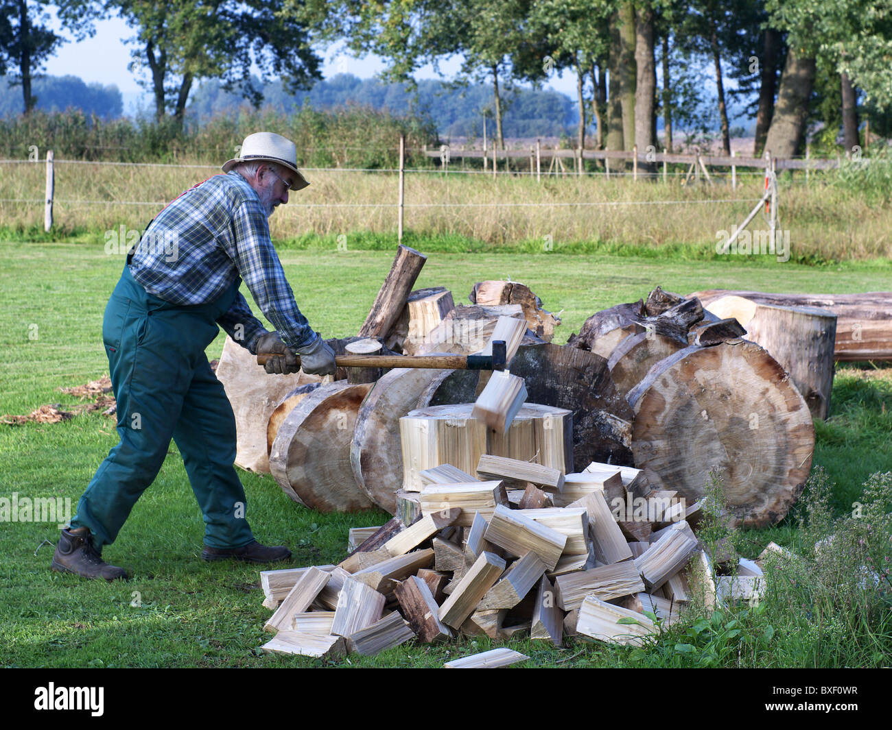 Man splitting firewood with an axe Stock Photo - Alamy