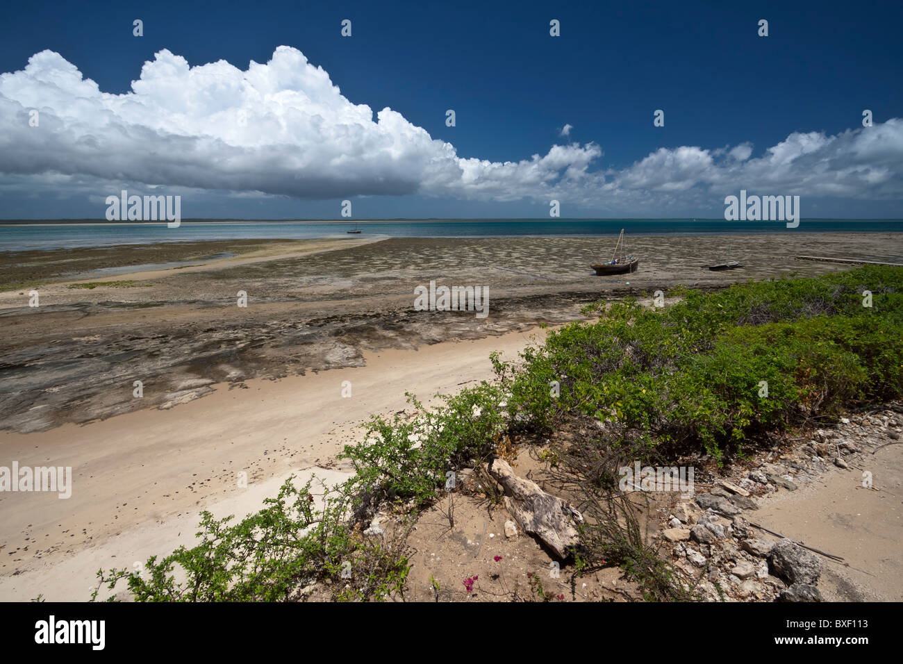 Foreshore looking into the Mafia Island marine reserve from Chole island Stock Photo