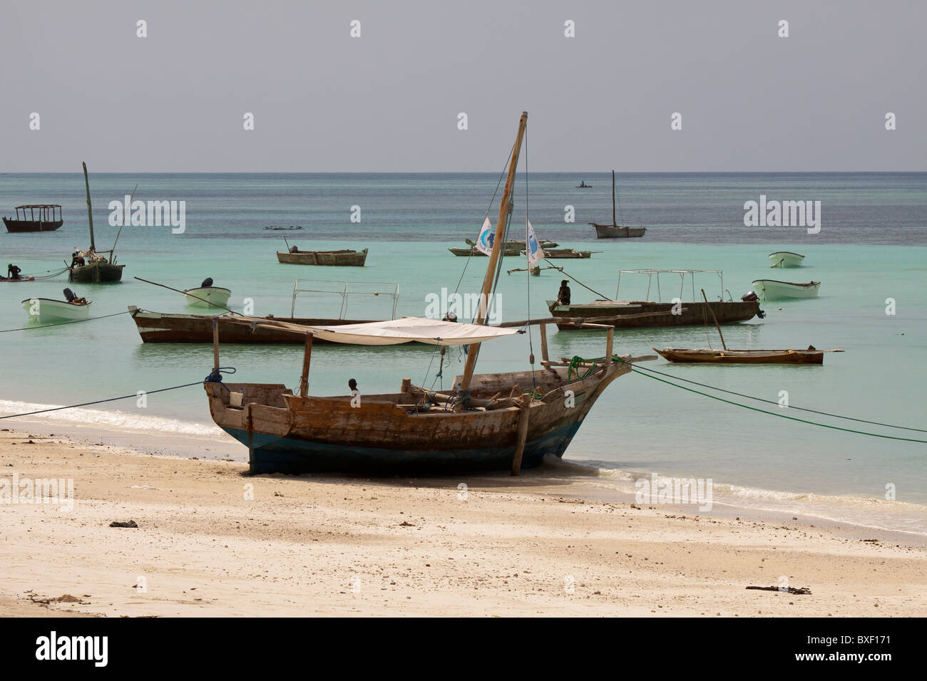 Local Dive Center Dhow Stock Photo Alamy Local Dive Center Dhow Stock Photo Alamy