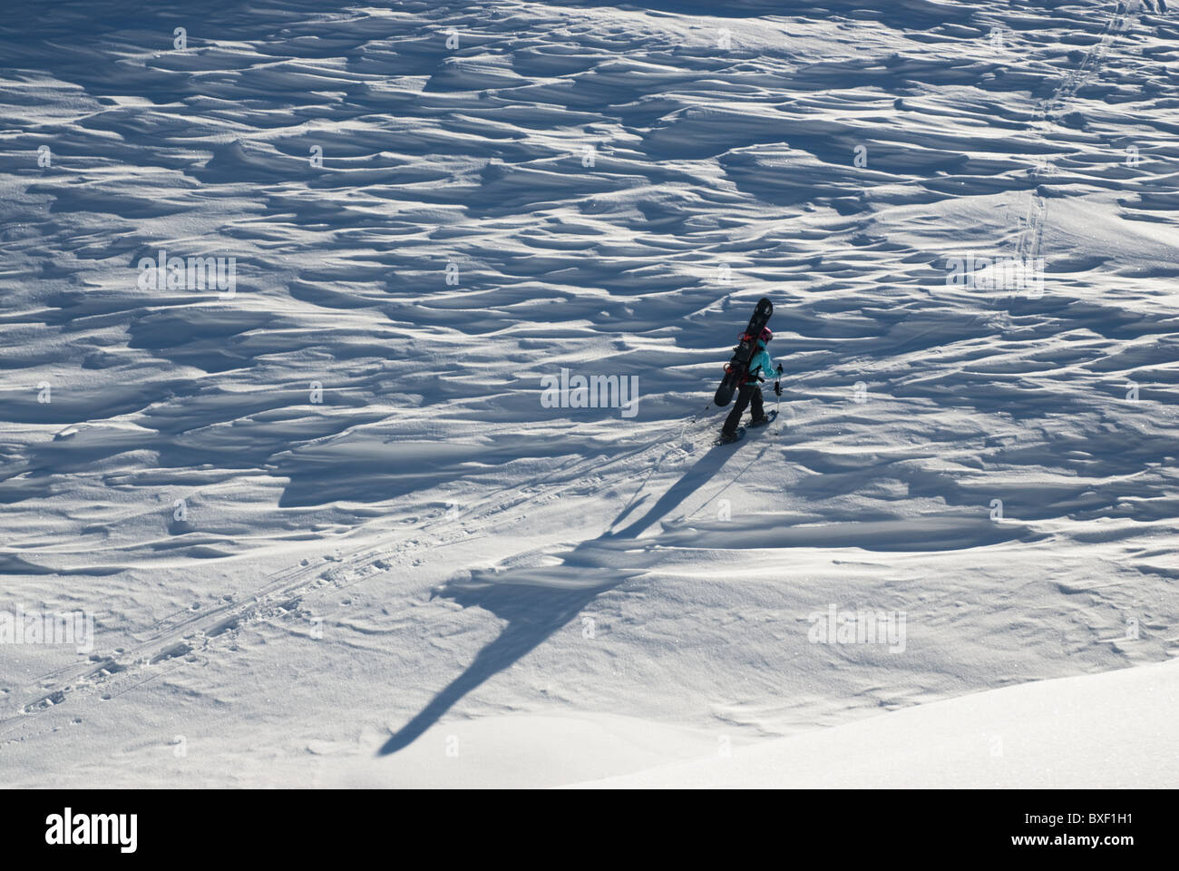 A snowboarder hiking up a snow field near Narvik, Norway. Stock Photo