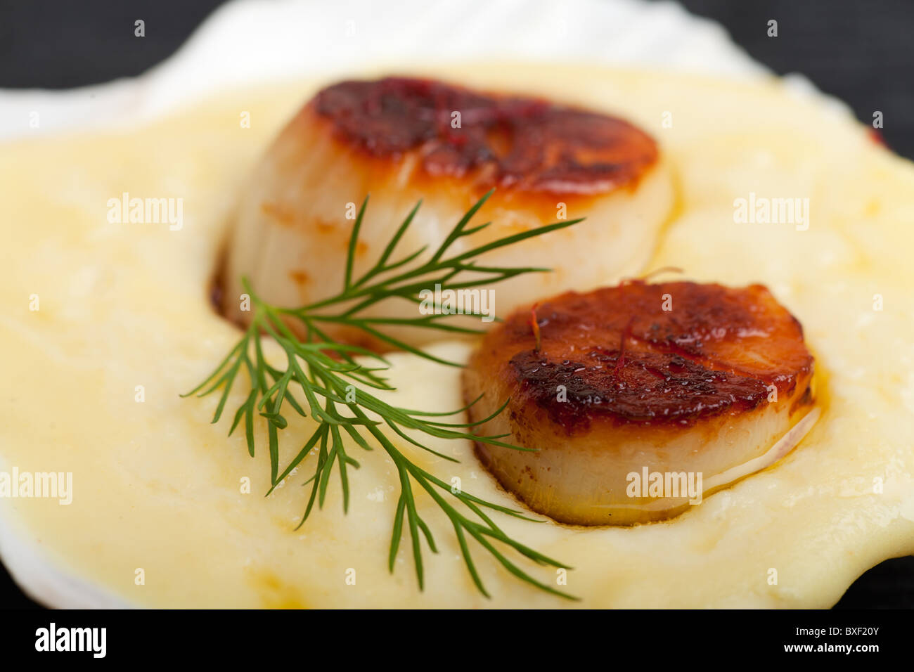 Scallops in shell hires stock photography and images Alamy