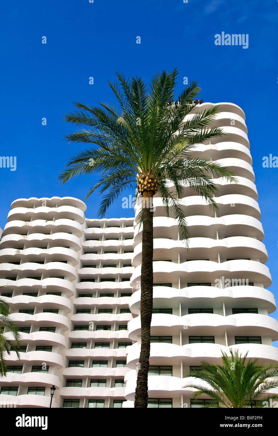 HOTEL HIGH RISE HOLIDAY PALM TREE VACATION APARTMENTS Generic attractive sunny white 5 star luxury holiday resort hotel with palm trees clear blue sky Stock Photo