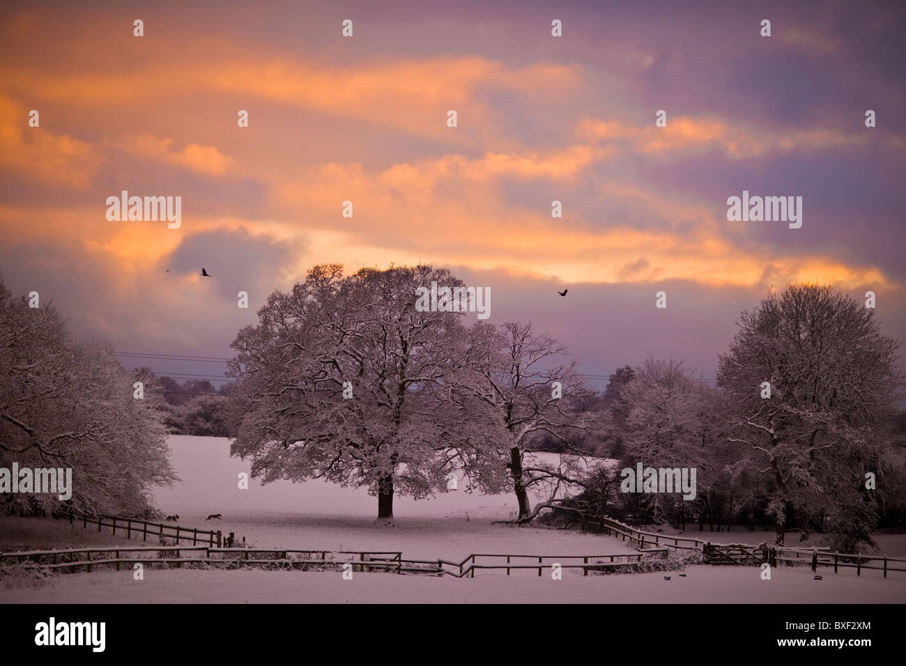 Wintery scenes from Warfield, Bracknell, Berkshire, UK Stock Photo Alamy