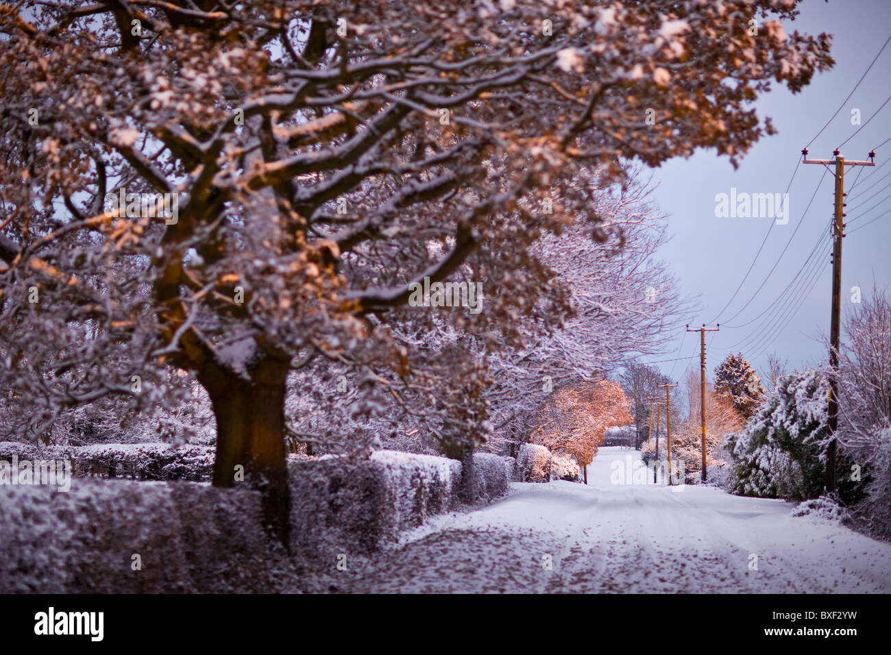 Wintery scenes from Warfield, Bracknell, Berkshire, UK Stock Photo Alamy