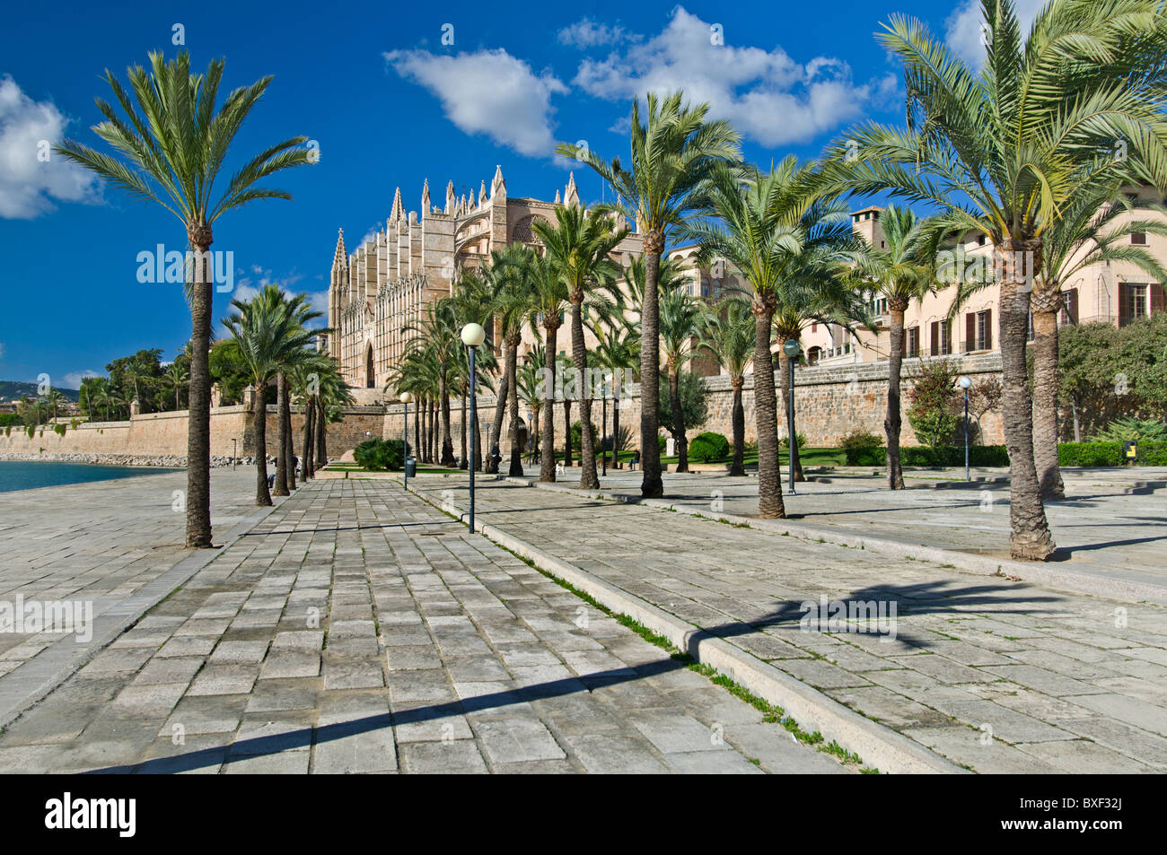 Mallorca Palma Cathedral La Seu and Parc de la Mar historic city centre Mallorca Balearics Spain Stock Photo
