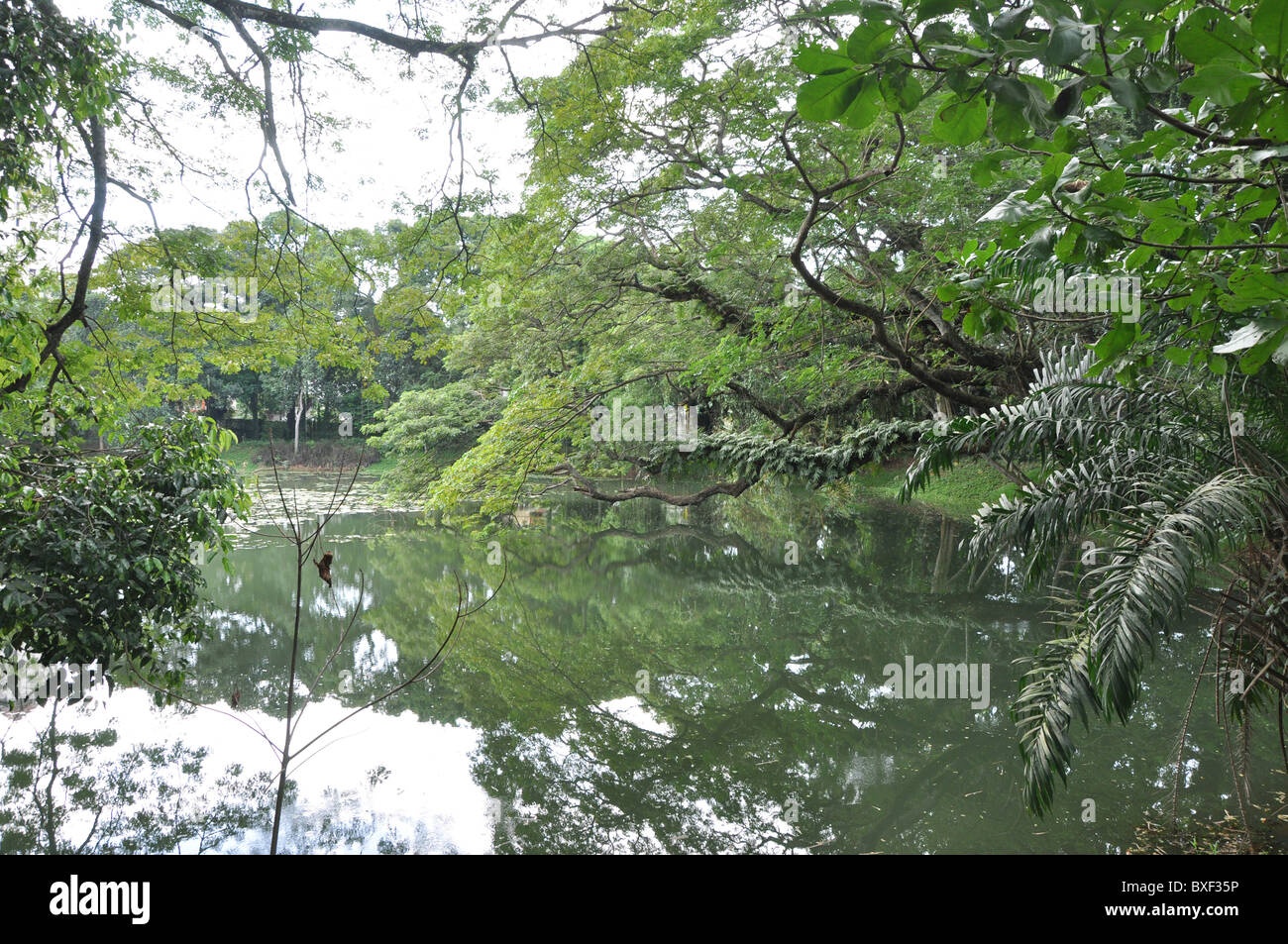Serene lake at Trivandrum Zoo Kerala India Asia Stock Photo