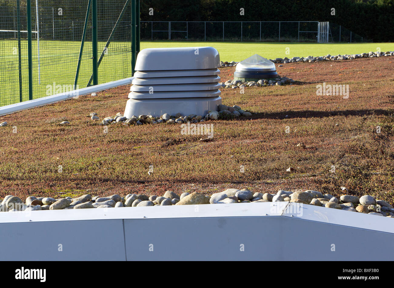 an environmentally friendly growing roof at a school in cornwall, uk Stock Photo