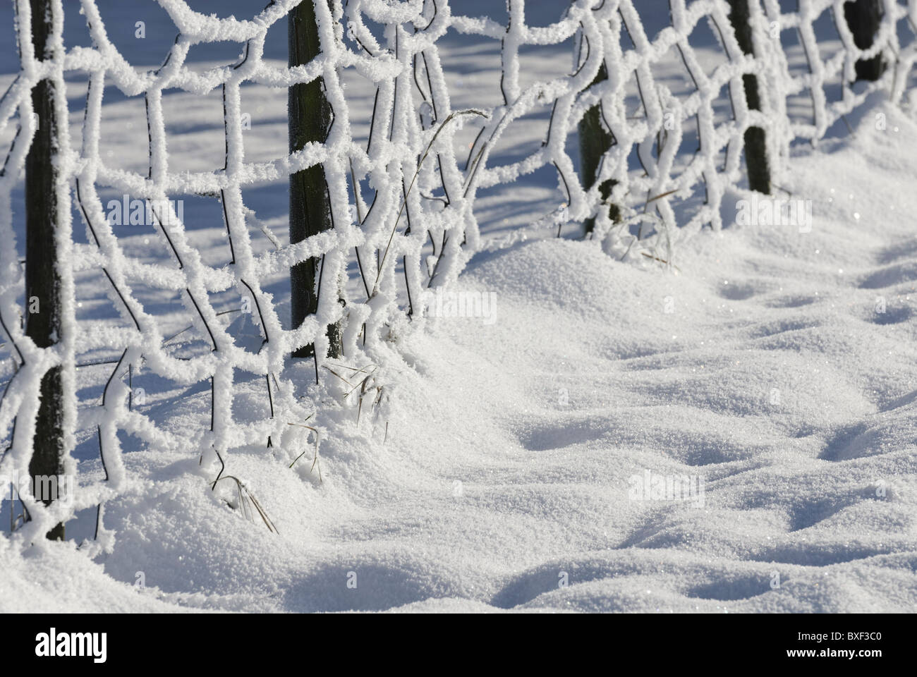 Frozen icy snowy wire fence on a sunny winter day Stock Photo - Alamy