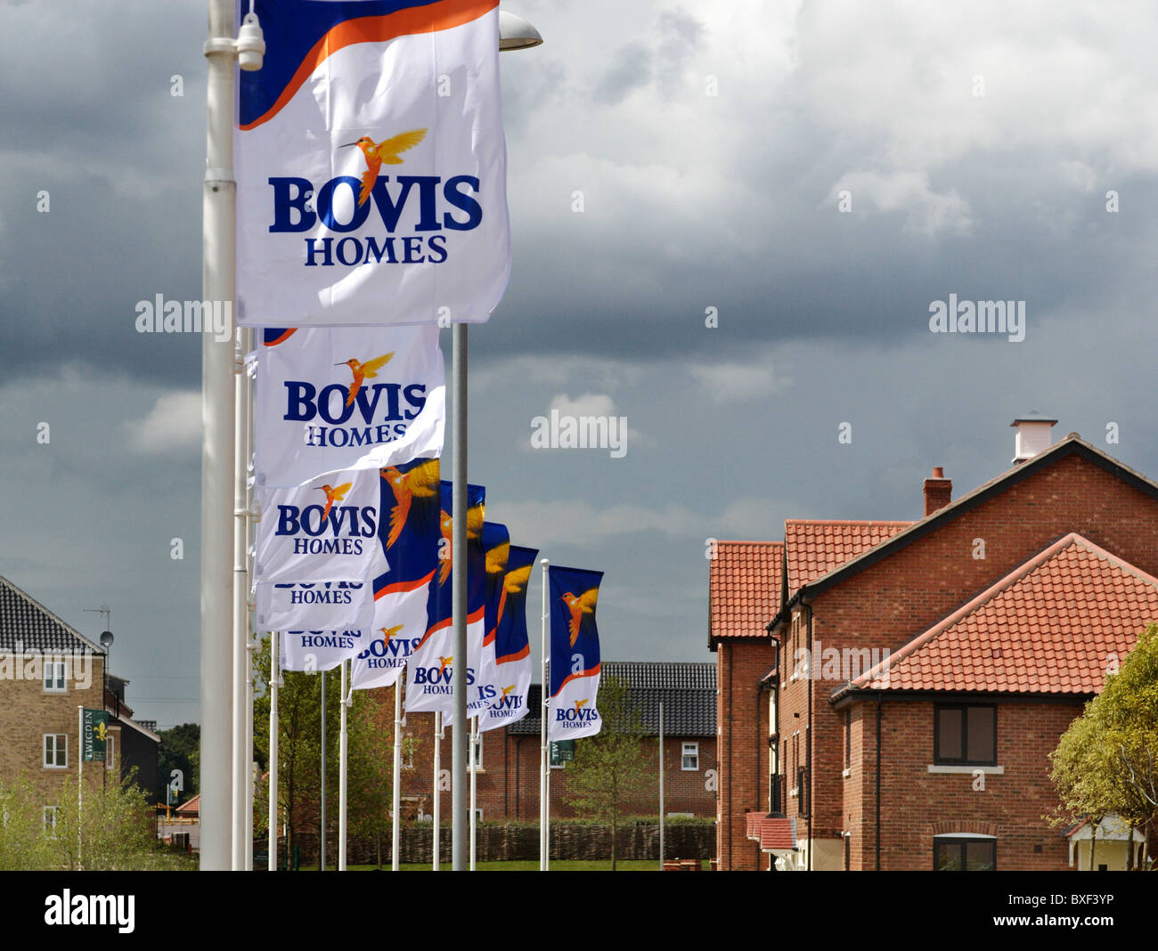 Bovis Homes development Norwich Norfolk UK Stock Photo