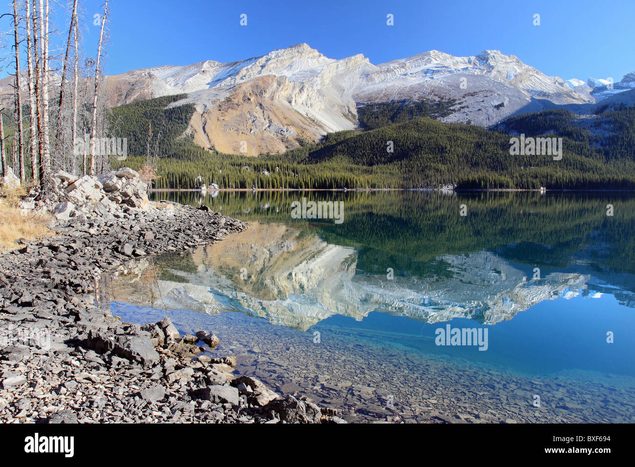 maligne lake reflection Stock Photo
