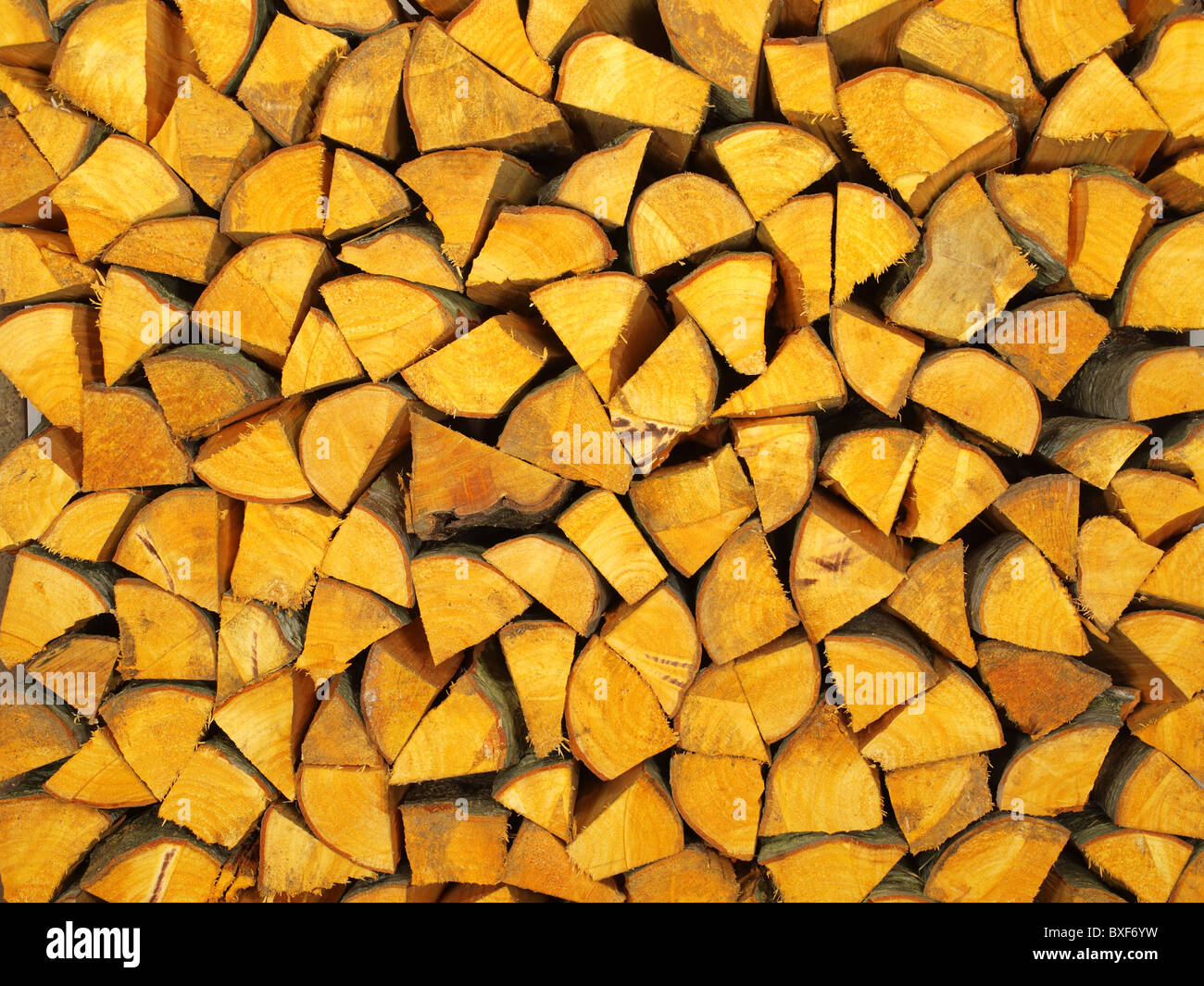 Beautiful alder wood from the stack of a particular color Stock Photo