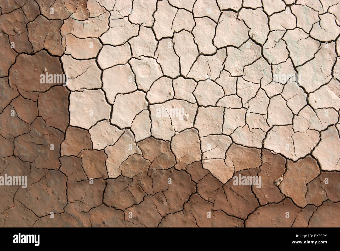 cracked ground sludge produced by the drying Stock Photo