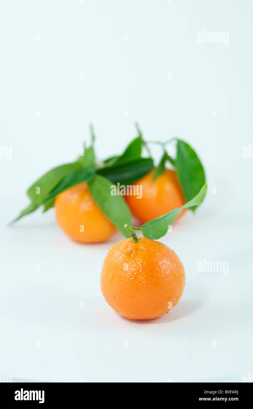 Clementine with leaves on white background Stock Photo Alamy