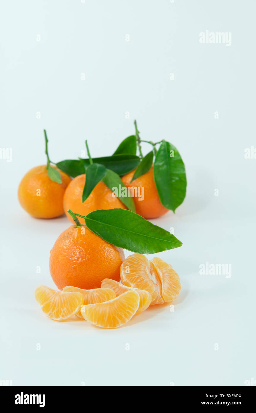Clementine with leaves on white background Stock Photo Alamy