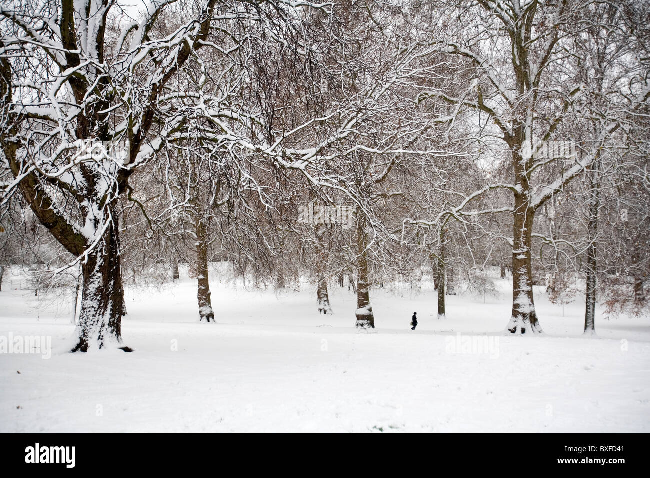 Green Park in snowy winter day, London, England, Britain, UK Stock Photo