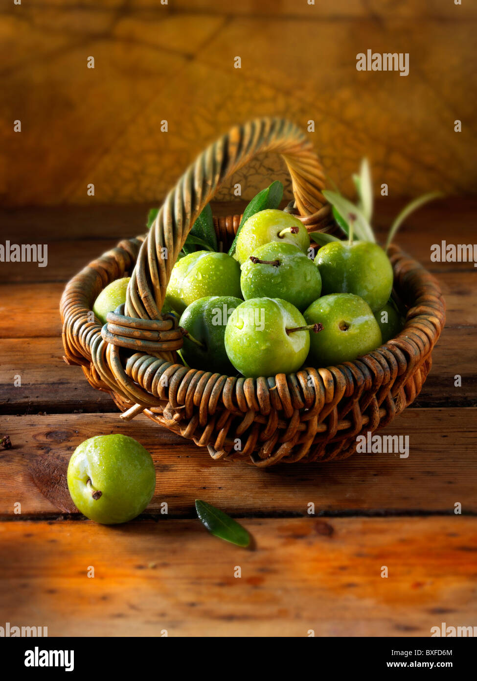 Fresh whole greengages Stock Photo