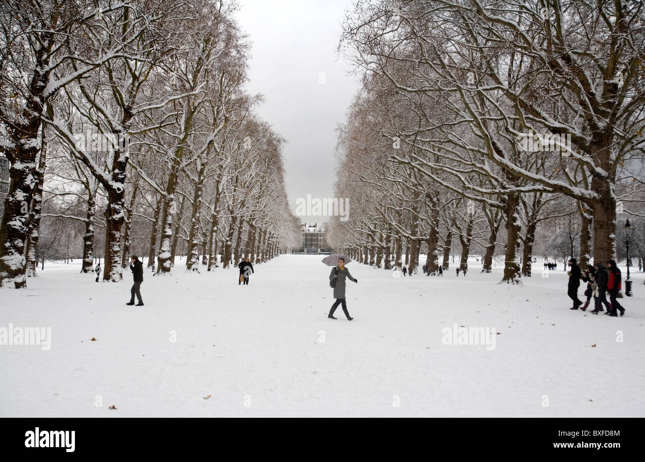 Green Park covered in snow, London, England, Britain, UK Stock Photo