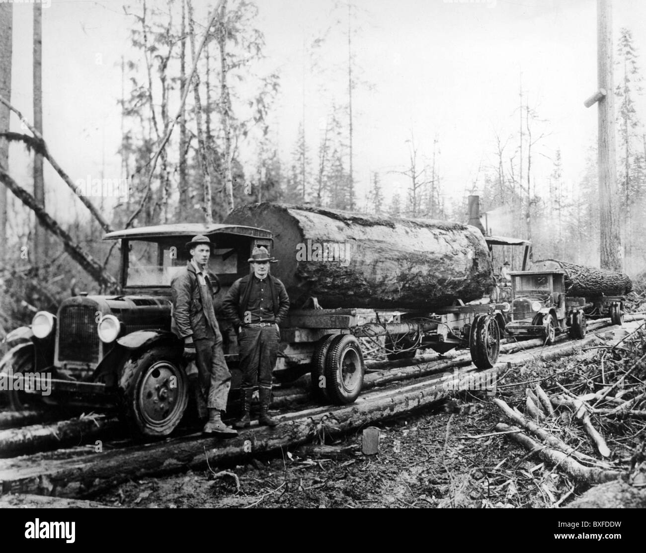 agriculture, forestry, lumberjacks, lumber on trucks, Ethel, Washington