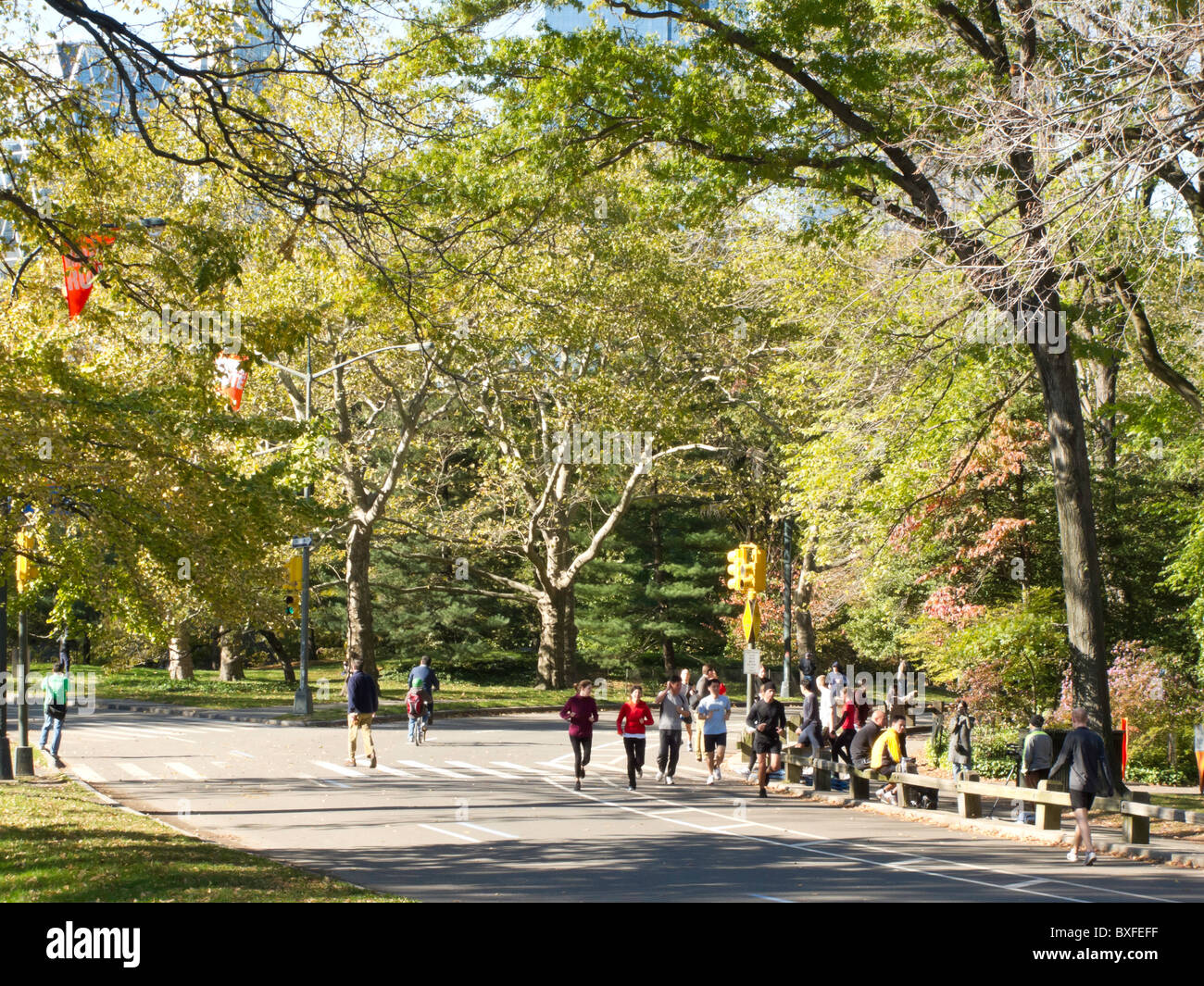 Joggers and Outdoor Activity, East Drive, Central Park, NYC Stock Photo ...