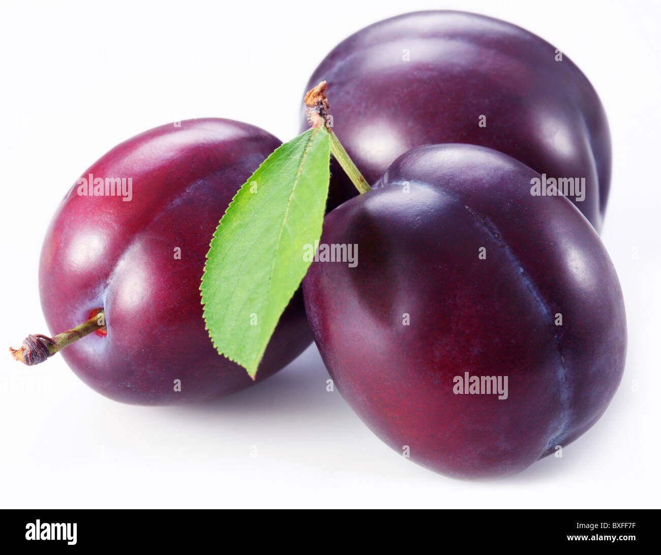 Three plums with leaves on white background. Stock Photo