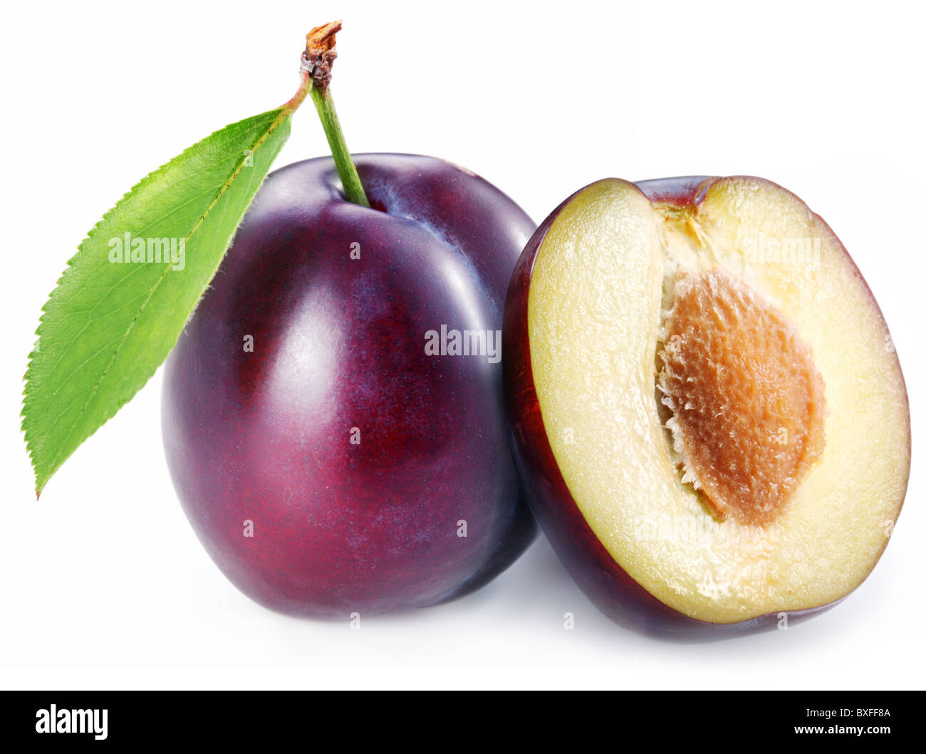 Plum with a slice and leaf on a white background. Stock Photo