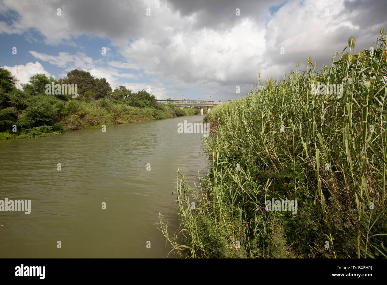 The  undeveloped banks of the Rio Grande River flowing through downtown Brownsville, Texas, looking west to Matamoros, Mexico Stock Photo