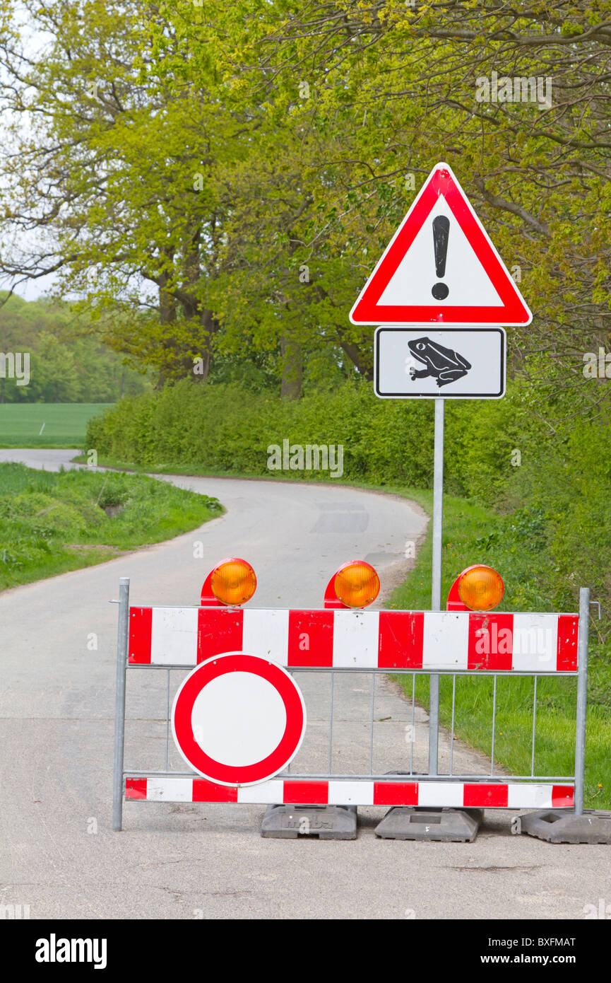 Road closure caused by toad migration Stock Photo