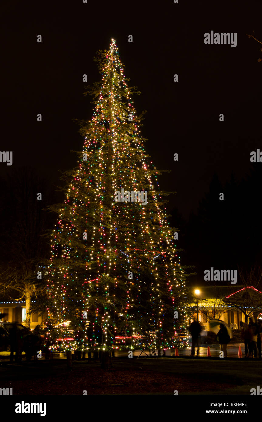 Joyce Wa Christmas Tree Lighting 2022 Outside Nighttime Decorated Christmas Tree High Resolution Stock  Photography And Images - Alamy