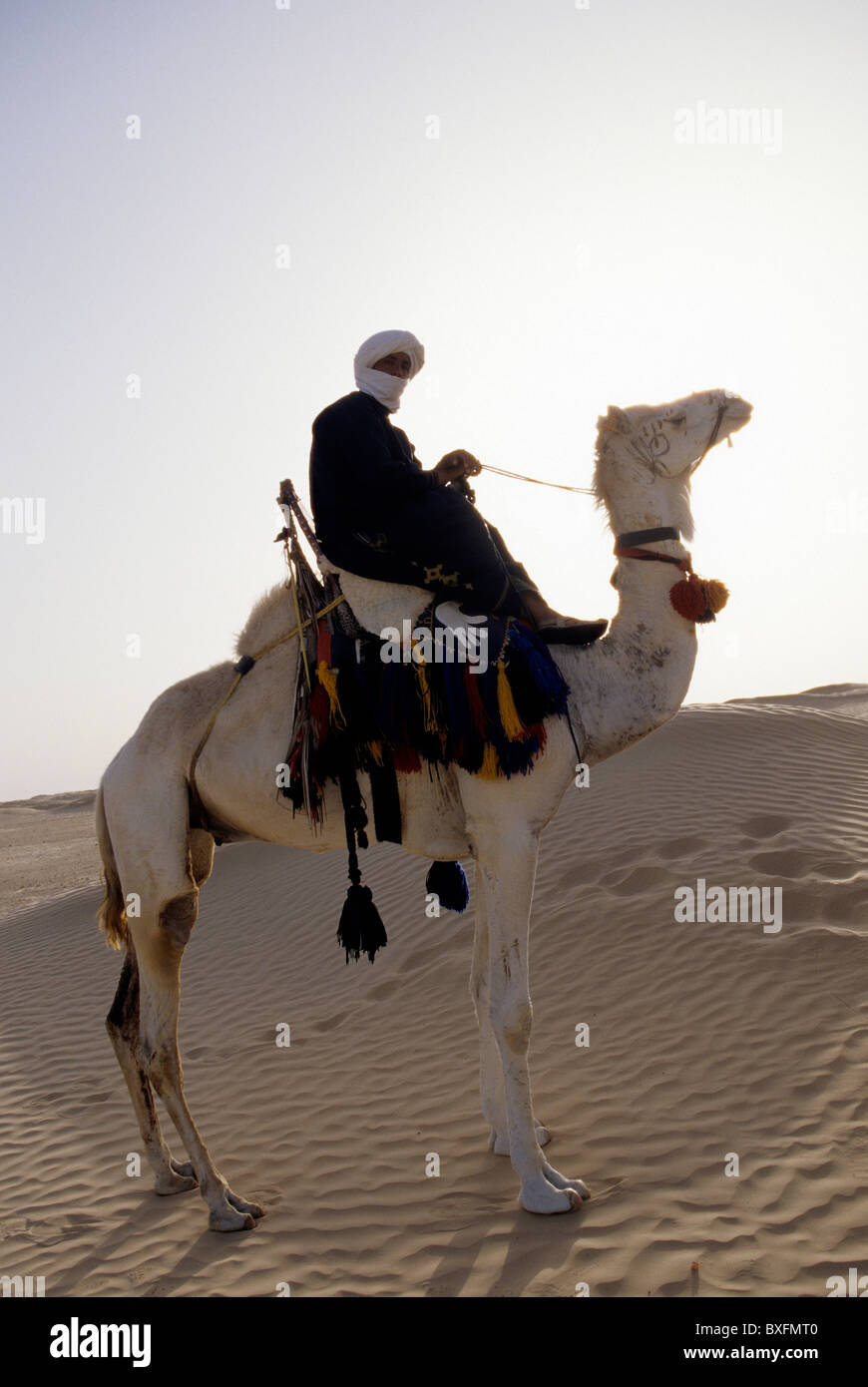 Tunisian man atop horse in the Saharan desert oasis town of Tozeur- Tunisia. Stock Photo