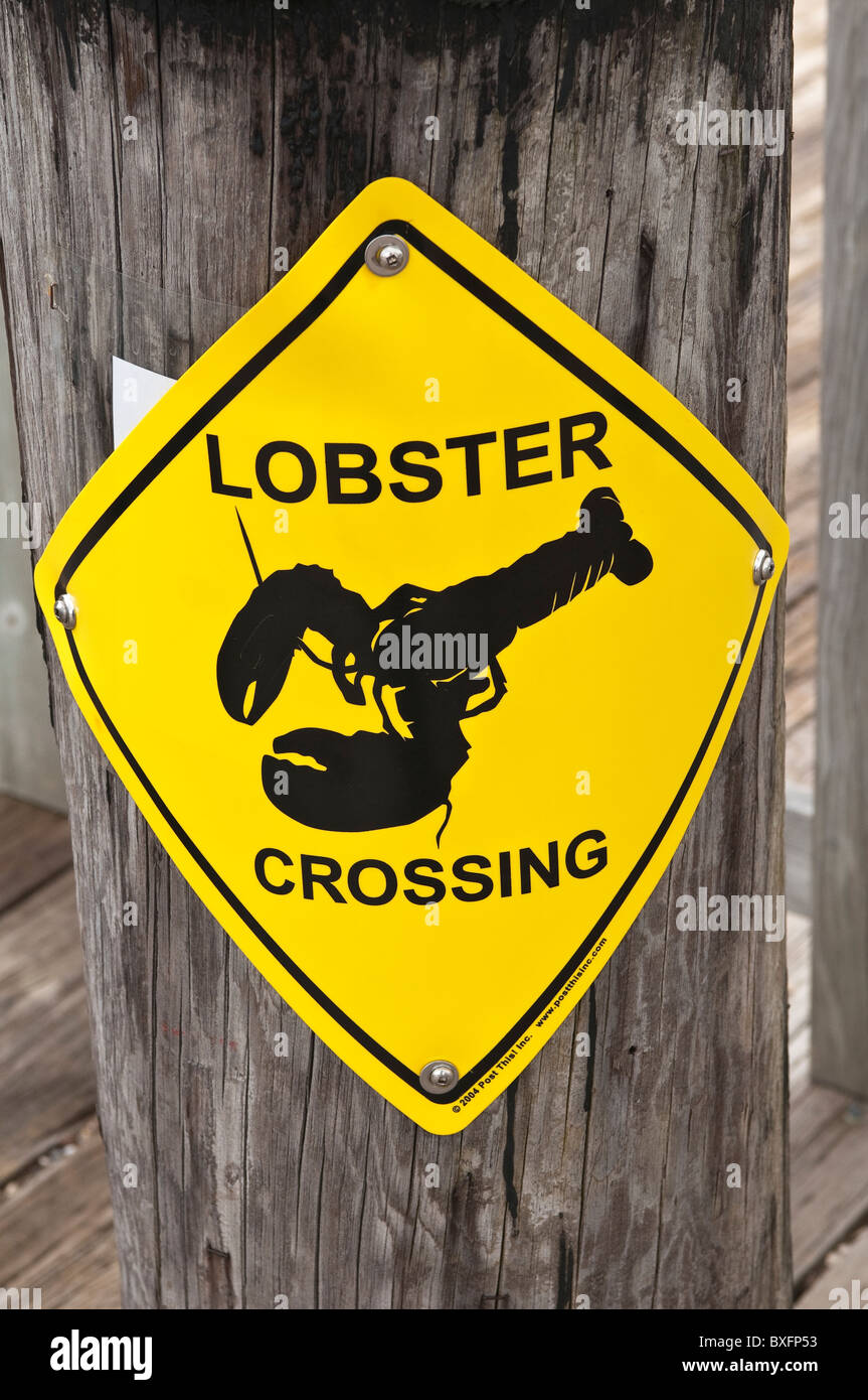 Lobster crossing hi-res stock photography and images - Alamy