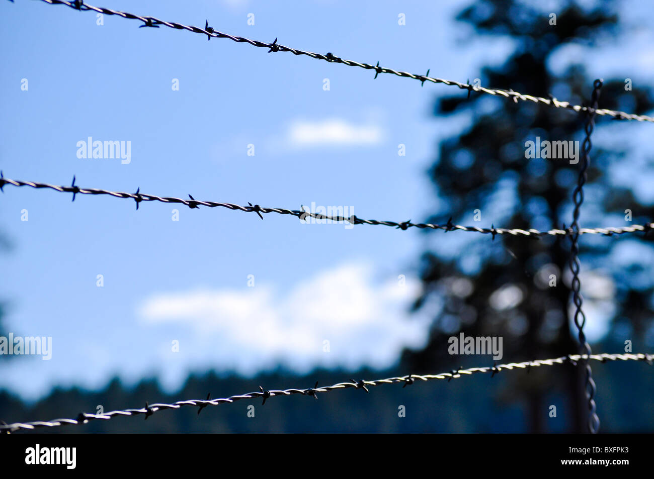 barbed wire against sky Stock Photo