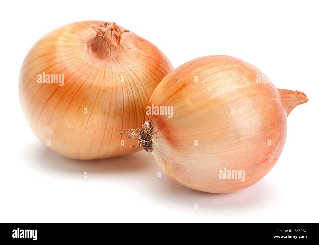 Orange onion Stock Photo