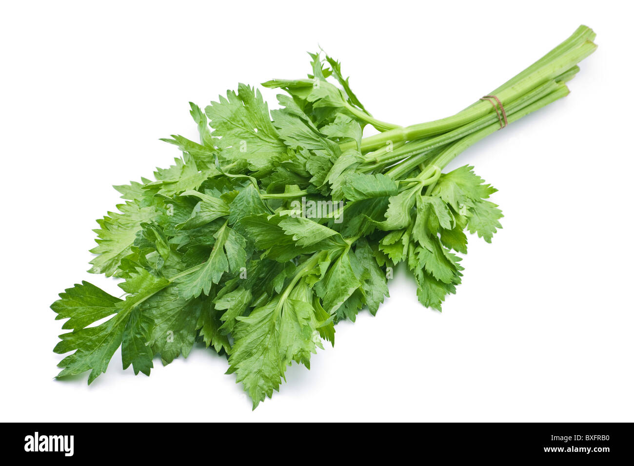 Celery hires stock photography and images Alamy