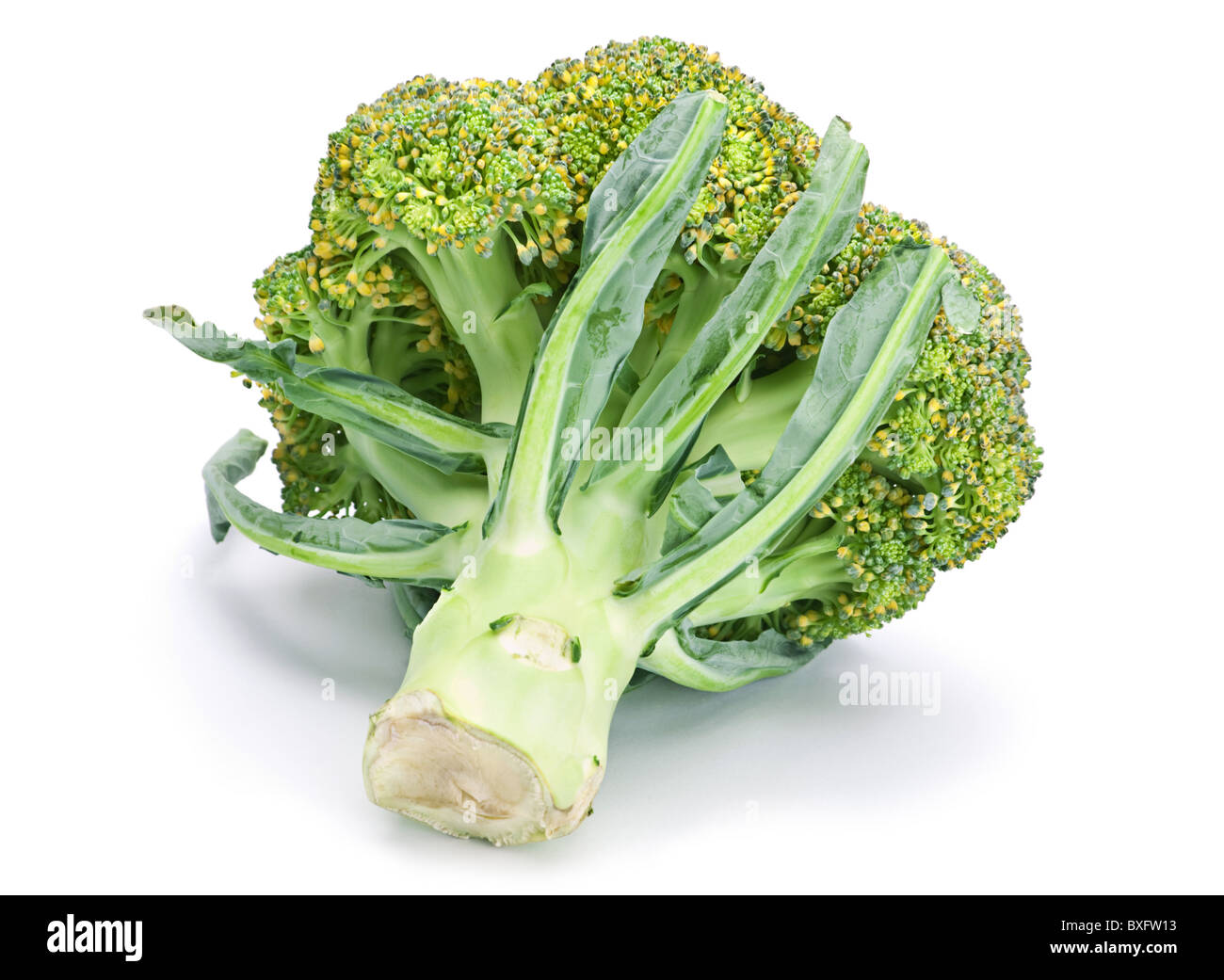 Broccoli cabbage Stock Photo